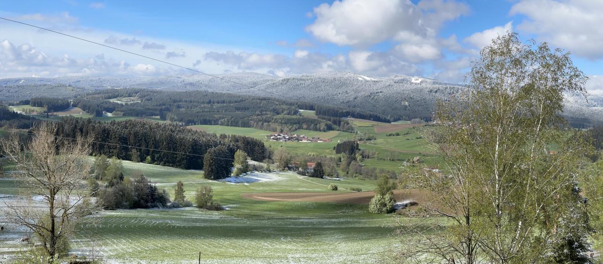 Lussen Διαμέρισμα Regen Εξωτερικό φωτογραφία
